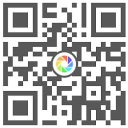环球能源期货直播间资料图片